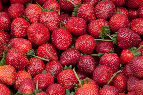 Jak skutecznie dostosować liczbę pracowników w branżach sezonowych?