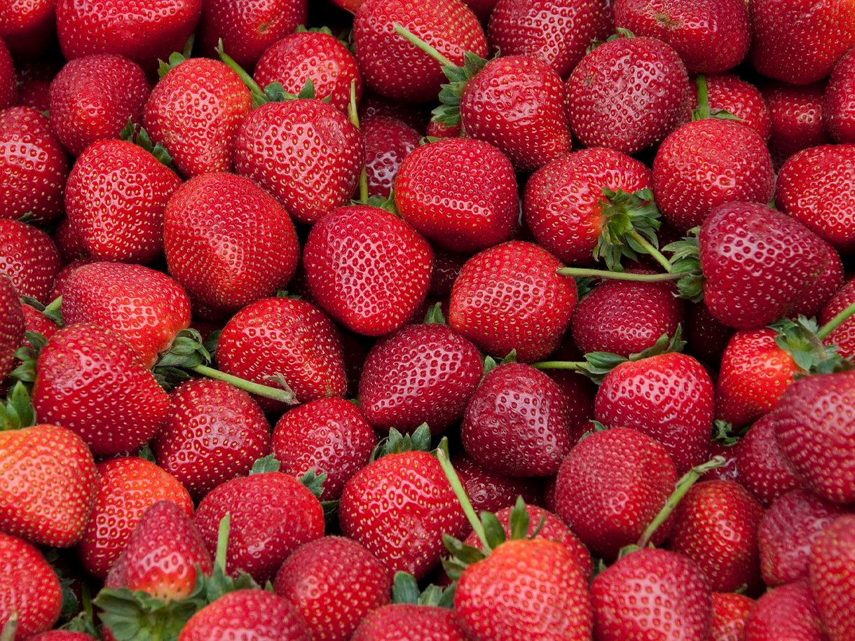 Jak skutecznie dostosować liczbę pracowników w&nbsp;branżach sezonowych?