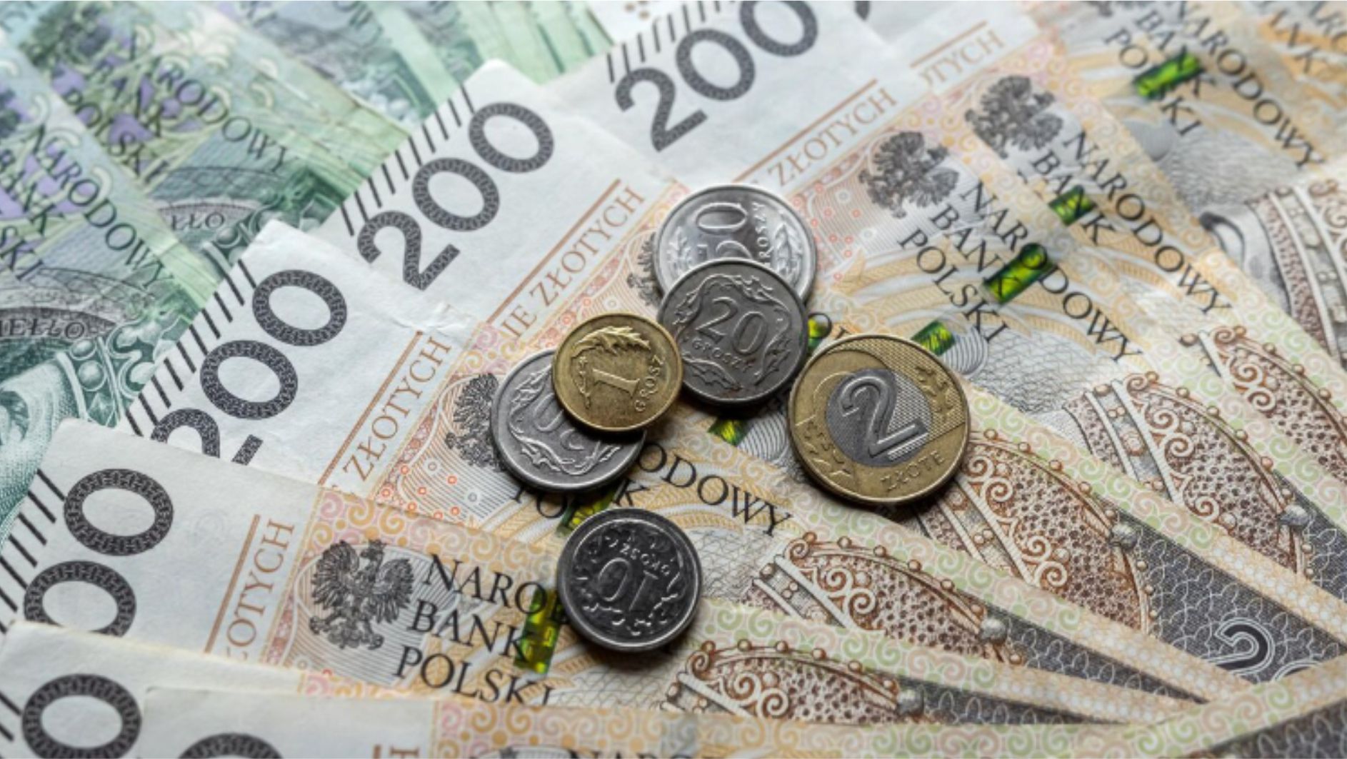 Nowe zasady 800+ tylko dla legalnie pracujących cudzoziemców. Co to oznacza dla rynku pracy i&nbsp;Agencji Workafford?